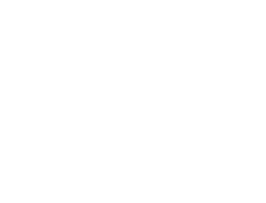 Unmatched Customer Experience