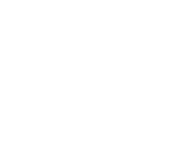 The Power of Partnership